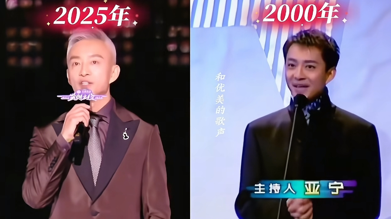 &ldquo;前央视最帅主持&rdquo;亚宁重回舞台：56岁满头白发 已是大厂高管